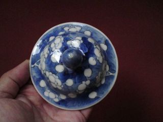 Perfect Antique 19th Century Chinese Blue & White Porcelain Prunus Covered Lid