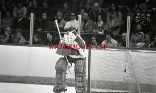 Bunny Larocque Montreal Canadiens 35 Mm Slide Negative Hockey Nhl Goalie