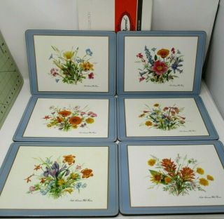 Vtg Pimpernel Cork Backed Placemat Set Of 6 North American Wild Flowers 9x12