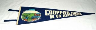 Vintage 1950s Coopers Rock West Virginia State Forest Felt Banner Flag Pennant