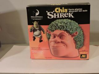 Chia Shrek Handmade Decorative Planter Vintage 2004 Dreamworks Ogre Head