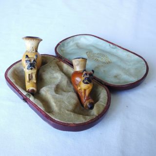 A Antique,  Cased Meerschaum Ladies Pipes With Carved Dogs On Their Stems