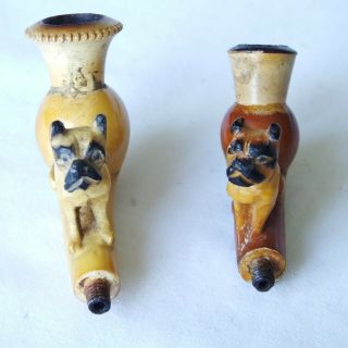 A antique,  cased meerschaum ladies pipes with carved dogs on their stems 2