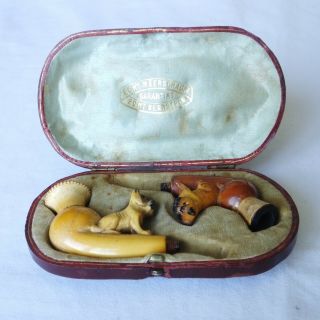 A antique,  cased meerschaum ladies pipes with carved dogs on their stems 3