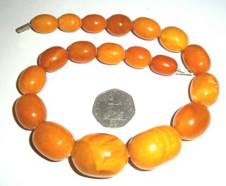 Large Antique Egg Yolk Butterscotch Amber Bead Necklace 75grams 2