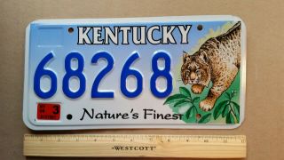 License Plate,  Kentucky,  Nature 