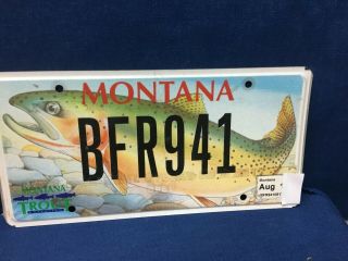Montana Trout Unlimited License Plate