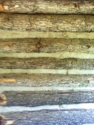 Log Cabin,  Antique,  Old,  Rustic,  Historic