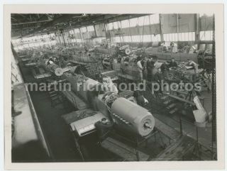 Fairey Firefly Mk.  1 Factory Production Line Large Photo Bz601
