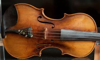 Very Old Labelled Vintage Violin " Tomaso Eberle 1774 " 小提琴 скрипка ヴァイオリン Geige