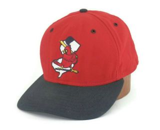 Vintage St Louis Cardinals Farm Team Baseball Cap Snap Back Hat Sports