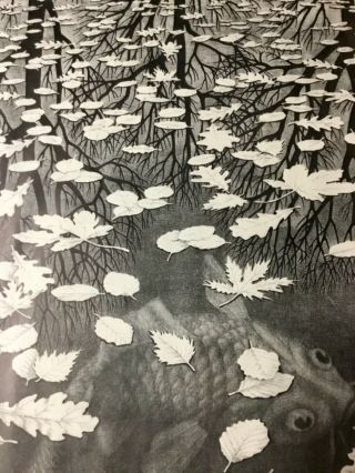 Vintage MC Escher Poster THREE WORLDS,  1955 Cordon Art BV Printed by Bakker Baarn 3