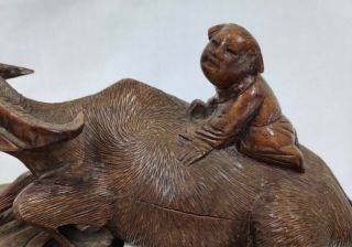 Antique Chinese Wooden Carving of Water Buffalo & Boy 2