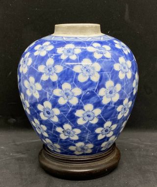 Rare Fine Antique Chinese Mid Qing Period Plum Blossom Jar