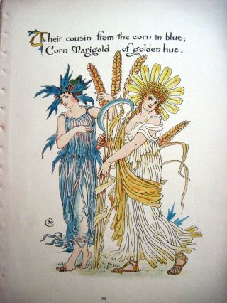Vintage Book Plate By " Walter Crane " Of Blue & Marigold Corn