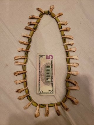 Old Antique Native American Indian Plains Buffalo Tooth & Trade Beaded Necklace