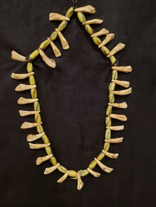 Old Antique Native American Indian Plains Buffalo Tooth & Trade beaded Necklace 3