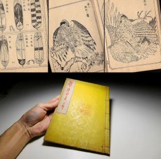 Kawanabe Kyosai Woodblock Print Hawk Illusts Book 19c Japanese Meiji Antique