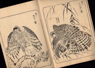 KAWANABE KYOSAI Woodblock Print Hawk Illusts Book 19C Japanese Meiji Antique 2
