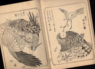 KAWANABE KYOSAI Woodblock Print Hawk Illusts Book 19C Japanese Meiji Antique 3