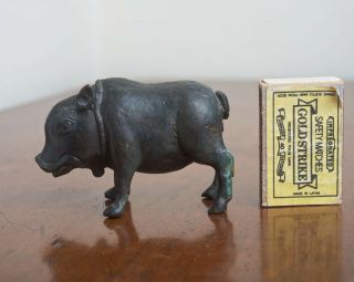 Antique Chinese Bronze Wild Boar Pig Scroll Weight Figurine Sculpture Horoscope 2
