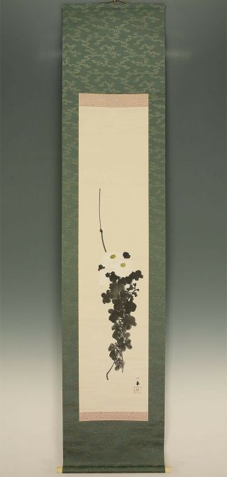 掛軸1967 Hanging Scroll : Takeuchi Seiho " White Chrysanthemum " W/box @k566