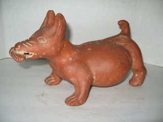 Large Pre - Columbian Colima Terracotta Pottery Dog Sculpture W/red Slip Glaze