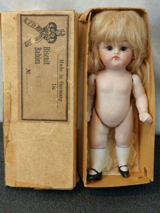Rare Antique Biscuit Babies Kestner Jdk German Bisque Doll With Box 5 "