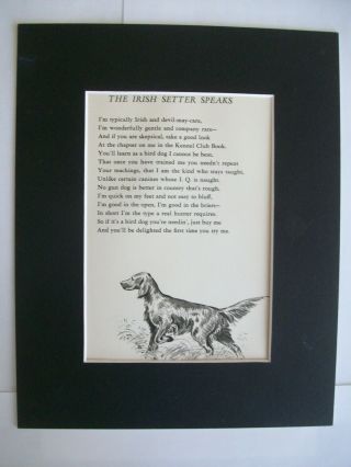 Print The Irish Setter Speaks Morgan Dennis Dog Poem 1947 Bookplate 8x10 Matted