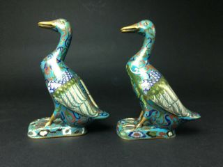 An Old Chinese Cloisonne Ducks Figural.