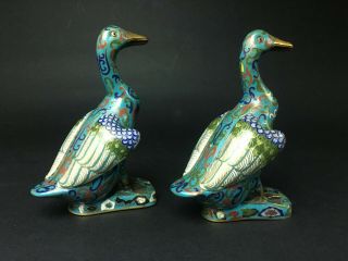 An Old Chinese Cloisonne Ducks Figural. 2