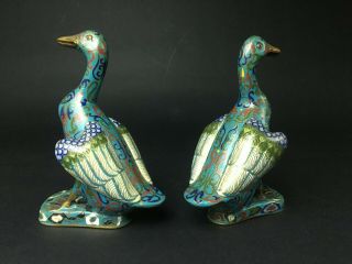 An Old Chinese Cloisonne Ducks Figural. 3