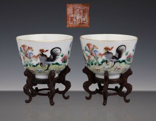Rare Pair Chinese Porcelain 