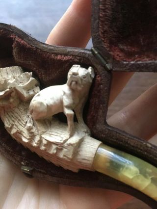 Antique 19th Century Cased Carved Meerschaum Pipe/ Dog