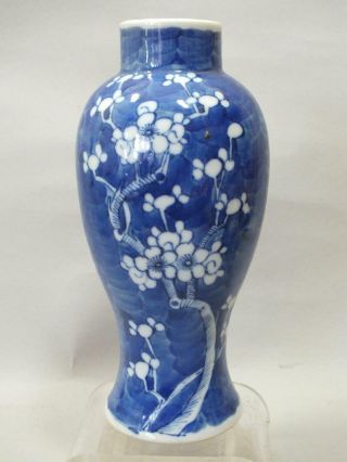 A Chinese Porcelain Balaster Vase With Blue Prunus Decor 19thc