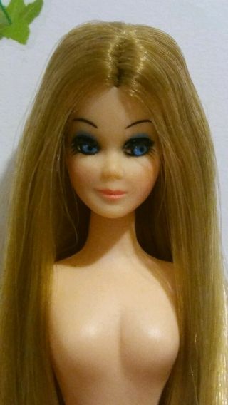 Vintage Topper Dawn/pippa Doll " Can You Believe This Perfect Dawn " Just Look 