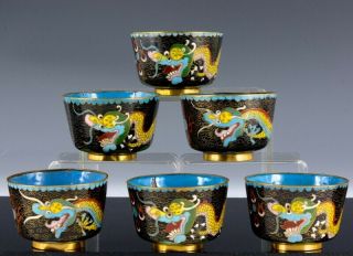 Six C1900 Chinese Guangxu Famille Rose Cloisonne Enamel Dragon Wine Cups Teacups