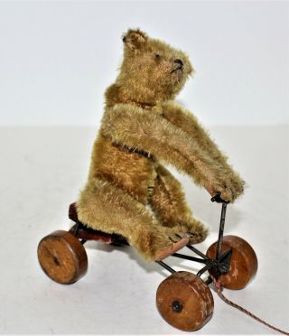 Antique Steiff Record Teddy Bear Pull Toy Rare