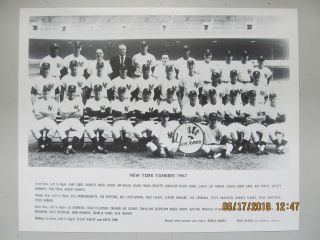 York Yankees 1967 Team Photo 8x10 Mickey Mantle Whitey Ford Yankees Nyy Hof
