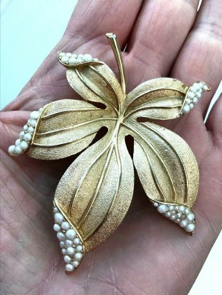Trifari Vintage Jewellery Elegant Large Gold Tone Leaf & Faux Pearl Brooch/pin
