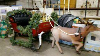 Antique Horse Drawn Sleigh With Reindeer Parade Ready