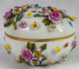 Antique Meissen Porcelain Flowers & Insects Encrusted Covered Pot or Bowl 2