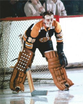 Gerry Cheevers Boston Bruins Nhl Hockey Goalie In The Net 8x10 Color Photo (tk)