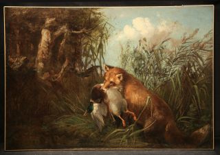 Animal Hunting Antique 19th Century Painting Fox & Duck In Landscape