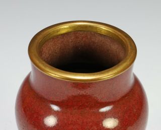 Antique Chinese Sang de Boeuf Glazed Porcelain Vase - 1700 ' s 2