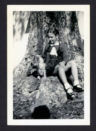 Vintage Photo - Pretty Young Girl With Her Pet Spaniel Dog 1950 