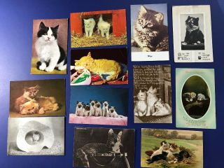 12 Cat Vintage Antique Postcards 1900 