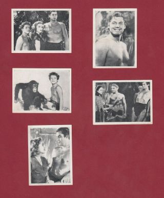 5 Gum Cards,  Tarzan And The Leopard Woman,  Johnny Weissmuller 1950