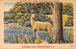 Stratford York Greetings Deer Elk Vintage Postcard Je229617