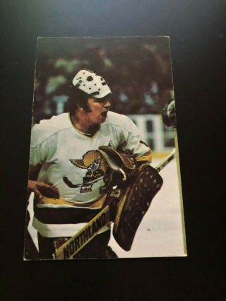 Wha Mike Curran Minnesota Fighting Saints Team Issued Post Cards Hockey Nmt